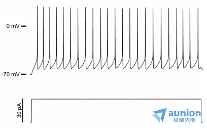 1783319526177175.png